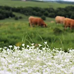 La Colonie Bed and Breakfast Aubrac