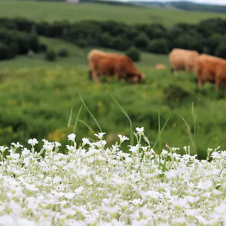 La Colonie B&B 오브락