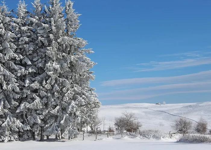 Alojamento de Acomodação e Pequeno-almoço La Colonie