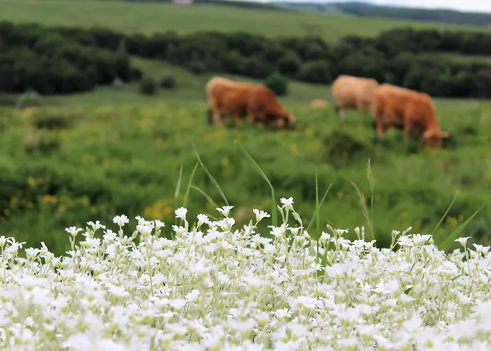 La Colonie Alojamento de Acomodação e Pequeno-almoço Aubrac